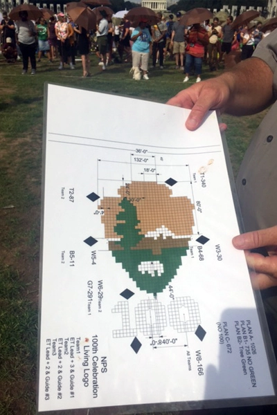 Living Arrowhead diagram image: Kaitlyn Hay