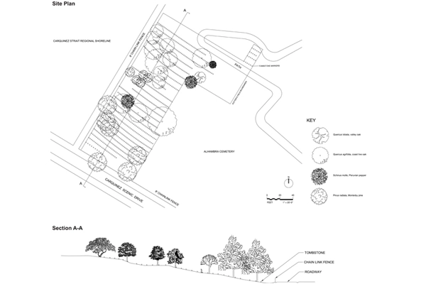 Site Plan and Section, Potter's Field, Alhambra Pioneer Cemetery, Martinez, CA image: UC Berkeley students Annalise Chapa, David Koo, Yang Liu, and Mark Wessels