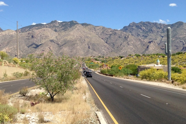 Figure 7: Environmentally compatible painted finish on pole (at left) on Craycroft Road in Tucson. Painted finishes are no longer used. Sage green concrete vertical saguaro – like structure at right – is a “stealth” communication tower. View to the Santa Catalina mountain range. image: Ellen Alster