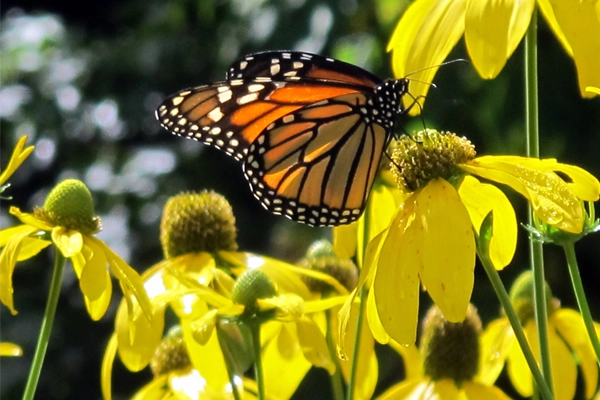 Visual and tactile beauty image: Amy Wagenfeld