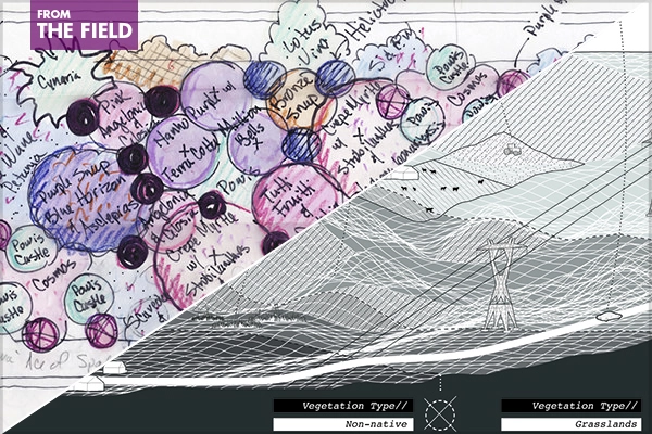 Left: Michigan Avenue Streetscape: 20 Years of Magnificent Mile Blooms, 2016 Landmark Award / Right: The Digital & The Wild: Mitigating Wildfire Risk Through Landscape Adaptations, 2016 Student ASLA Honor Award, General Design Category image: Hoerr Schaudt / Jordan Duke, Student ASLA