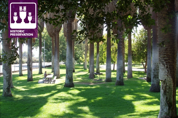 Roeding Park (HALS CA-59). Grove of fan palms on east side of park. image: Library of Congress, Prints and Photographs Division, HALS CA-59