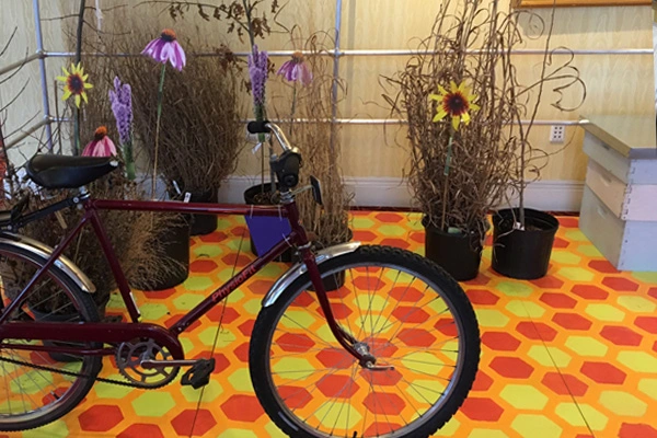 Healthy Food, Urban Agriculture, and Pollinator Habitat, sponsored by PlaceMatters, PGAV Planners, SWT Design, Knox College Office of Sustainability, and Urban Harvest STL image: Shawn Balon