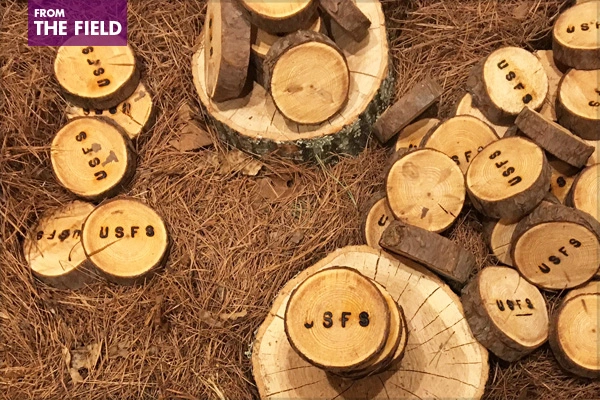 Experience the Gateway to Trails and Forests!, sponsored by Nature Explore, U.S. Forest Service, Arbor Day Foundation, and Dimensions Educational Research Foundation image: Shawn Balon