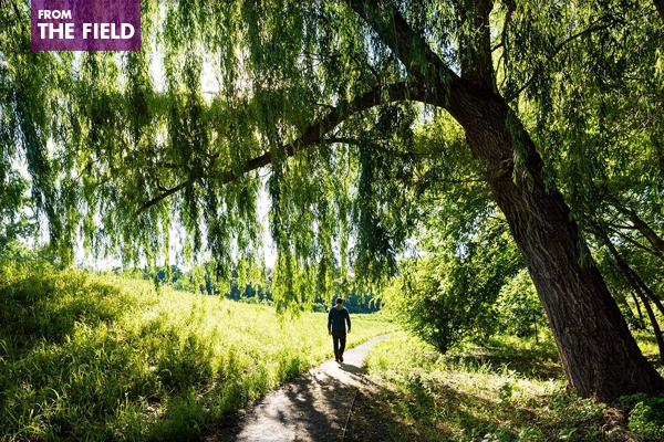 At the Hudson's Edge: Beacon's Long Dock a Resilient Riverfront Park, Beacon, NY, Reed Hilderbrand LLC, 2015 Professional ASLA Award of Excellence, General Design Category image: James Ewing Photography