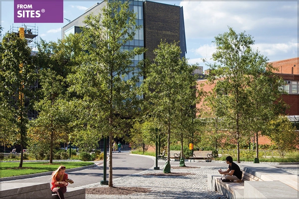 Shoemaker Green, Philadelphia, PA, Andropogon Associates Ltd., 2014 Professional ASLA Honor Award, General Design Category / image: Barrett Doherty and Andropogon