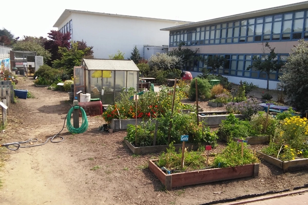 Vegetable beds and greenhouse, with chicken coop and outdoor kitchen in background / image: Kasey Wooten