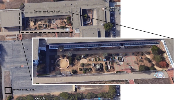 The location of the garden on the A.P. Giannini Middle School campus / image: aerial photos from Google Earth
