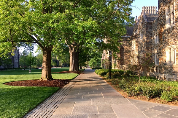 Abele Quad at Duke University, designed by the Olmsted Brothers, restoration design by Reed Hilderbrand / image: Mark Hough