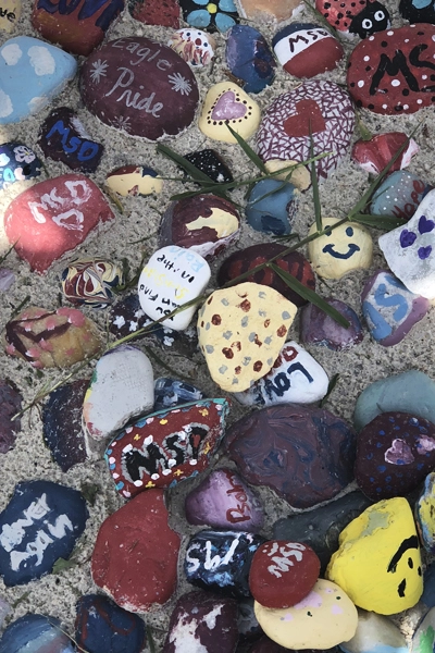 Painted rocks - messages of positivity / image: Kyle Jeter