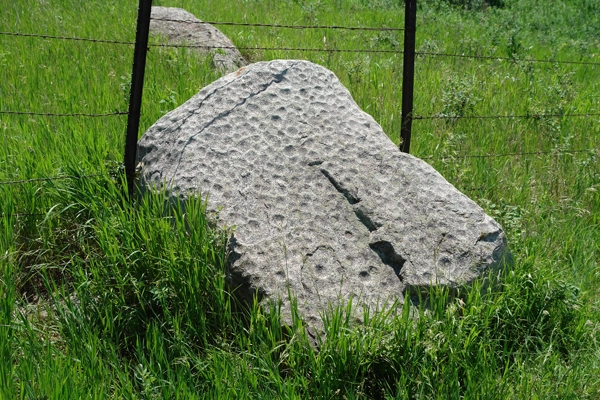 Pitted boulder at Xe’ (Blood Run NHL) / image: QEA