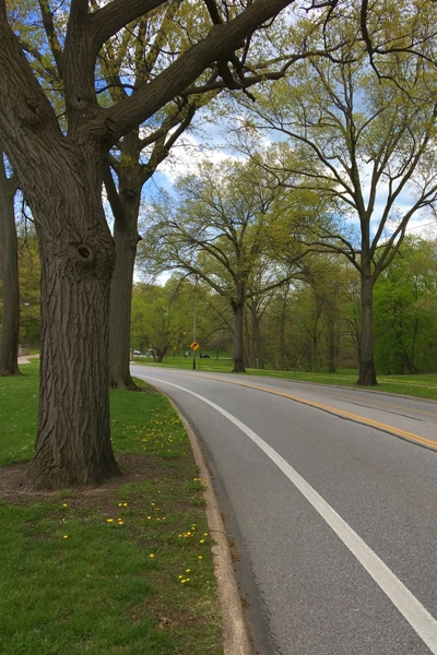 Liberty Row, HALS OH-13, Passing through Cleveland, Cleveland Heights, and Shaker Heights, Cuyahoga County, Ohio / image: Library of Congress, Prints and Photographs Division