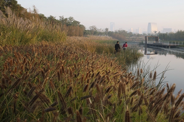 ASLA 2010 Professional General Design Award of Excellence. Shanghai Houtan Park: Landscape as a Living System, Shanghai, China. Turenscape and Peking University Graduate School of Landscape Architecture. / image: Kongjian Yu, FASLA