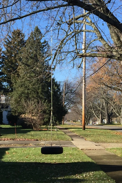 Front yard tire swing