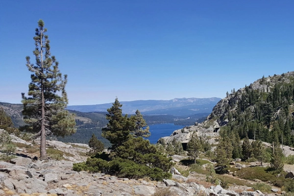 View of Tunnel #6 opening, near Donner Pass, Tahoe National Forest, CA