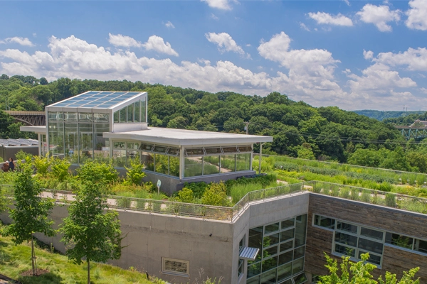 CSL’s green roof 