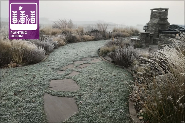Residential planting design in winter