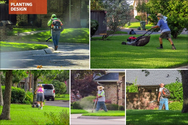 Examples of gasoline-powered yard equipment