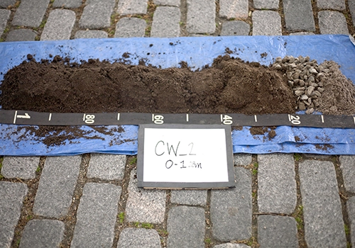 A soil core of sand-based structural soil Photo credit: 