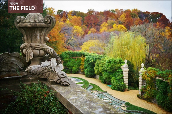 Dumbarton Oaks
