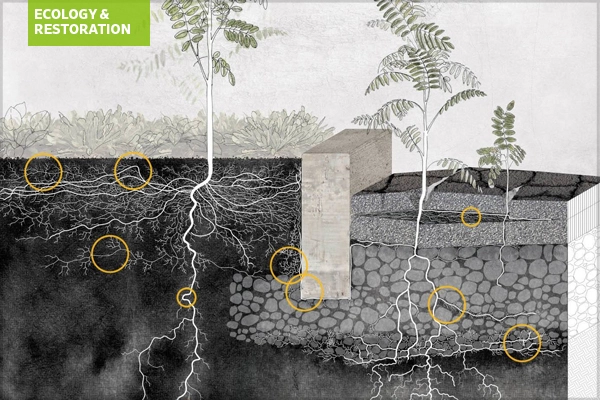 Grounding Root System Architecture