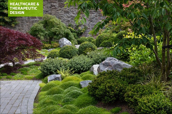 Edinburgh residence garden