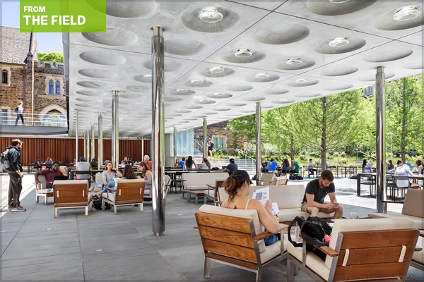 At Duke University's West Campus, the elevated pedestrian bridge provides for shady relaxation at the garden's edge.