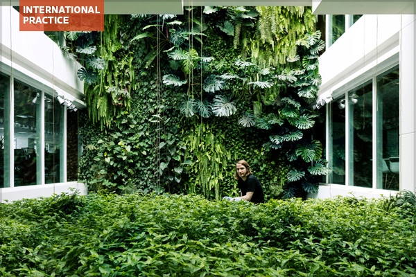 Green wall