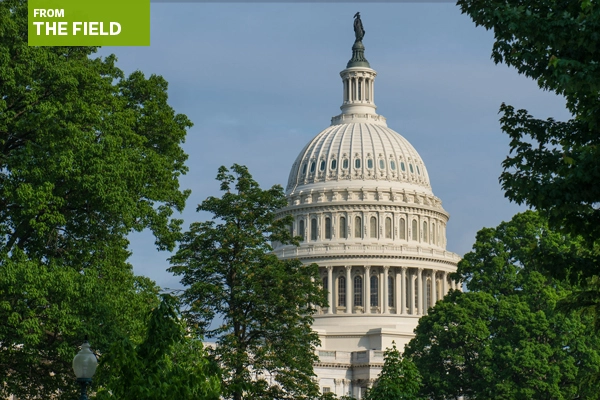 The Capitol, Washington, DC