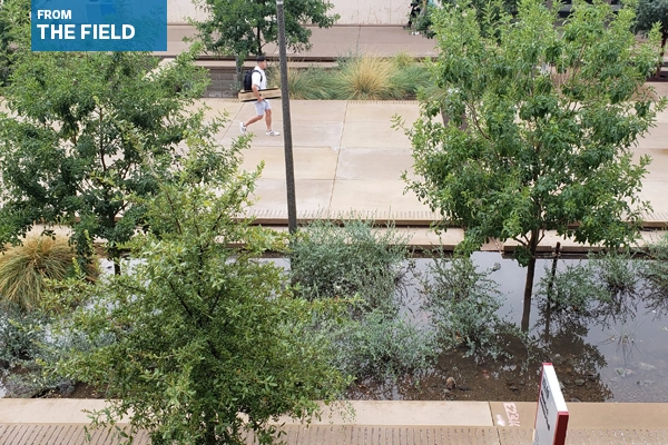 Arizona State University