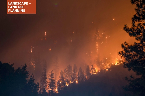 Forest fire in California