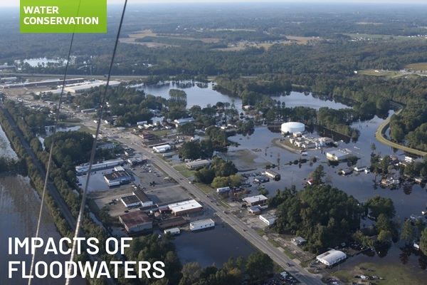 Impacts of floodwaters