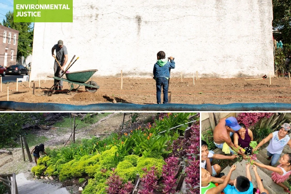 Environmental justice case studies collage