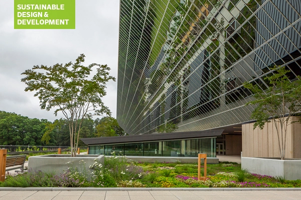 Roof meadow of Parkline project