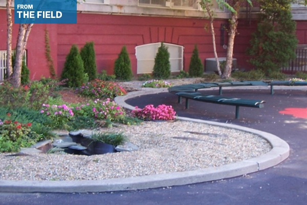 Schoolyard redesigned with student input