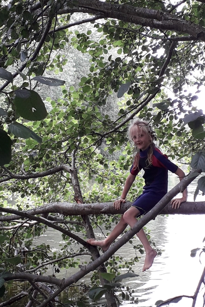 Milly climbing a tree 