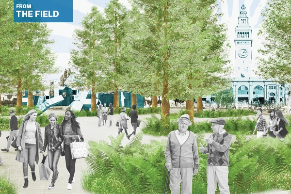 Climate Positive Design is a research initiative that launched in 2019 to improve the carbon impact of the built environment through collective action. Its mission is to help projects become Climate Positive solutions that sequester more carbon than they emit.