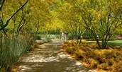 Sunnylands Center & Garden / Dillon Diers Photography | OJB