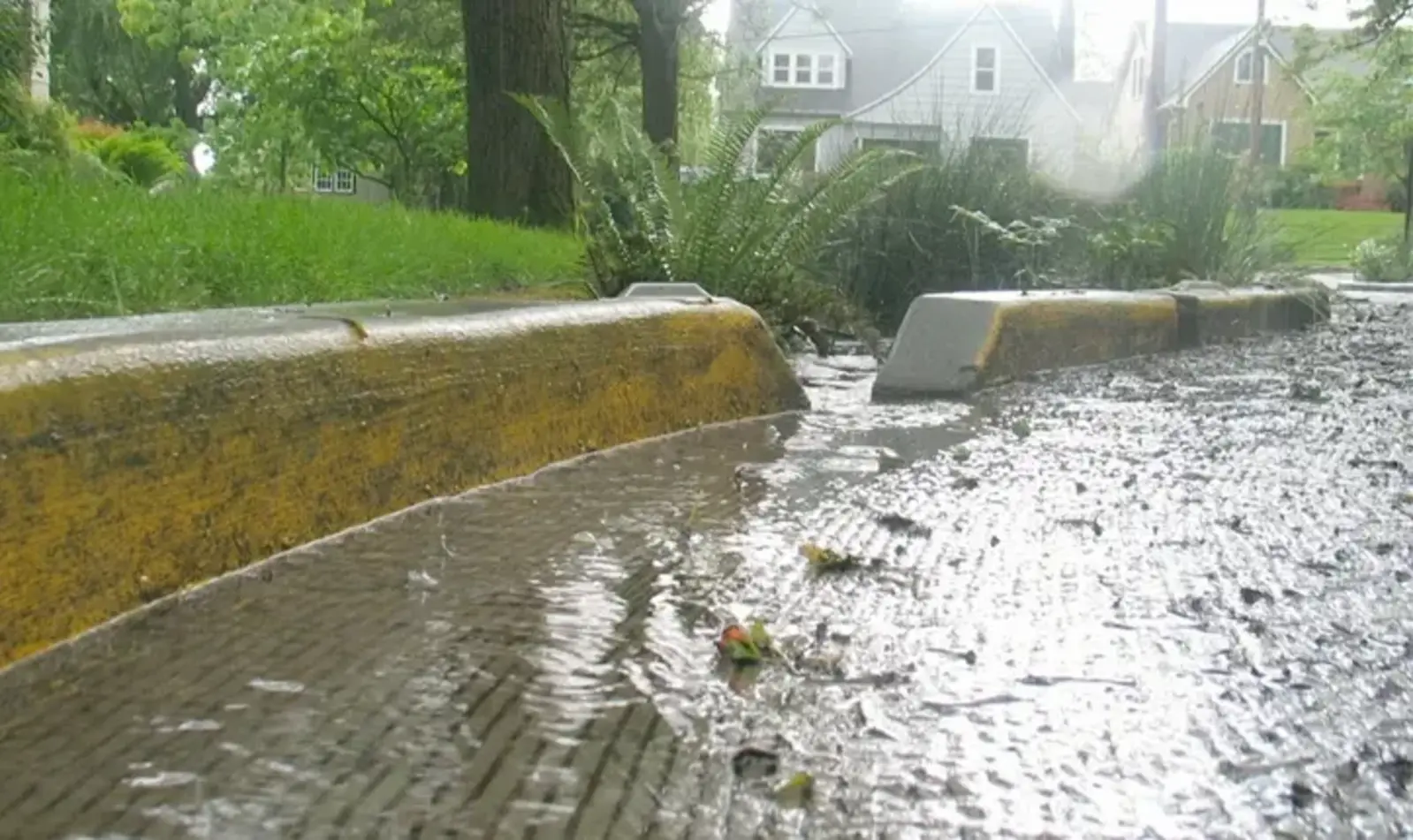 ASLA Honor Award Recipient, NE Siskiyou Green Street by Kevin Robert Perry, ASLA (Photo: Kevin Robert Perry)