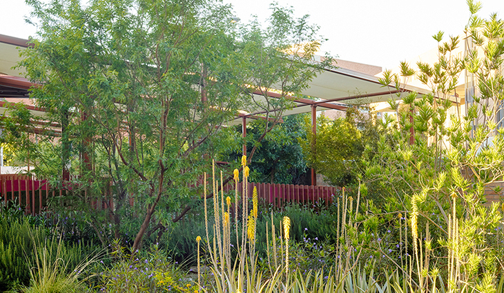 SITES-Certified Project. ASLA 2012 Professional General Design Honor Award. Orange Mall Green Infrastructure. Tempe, Arizona.