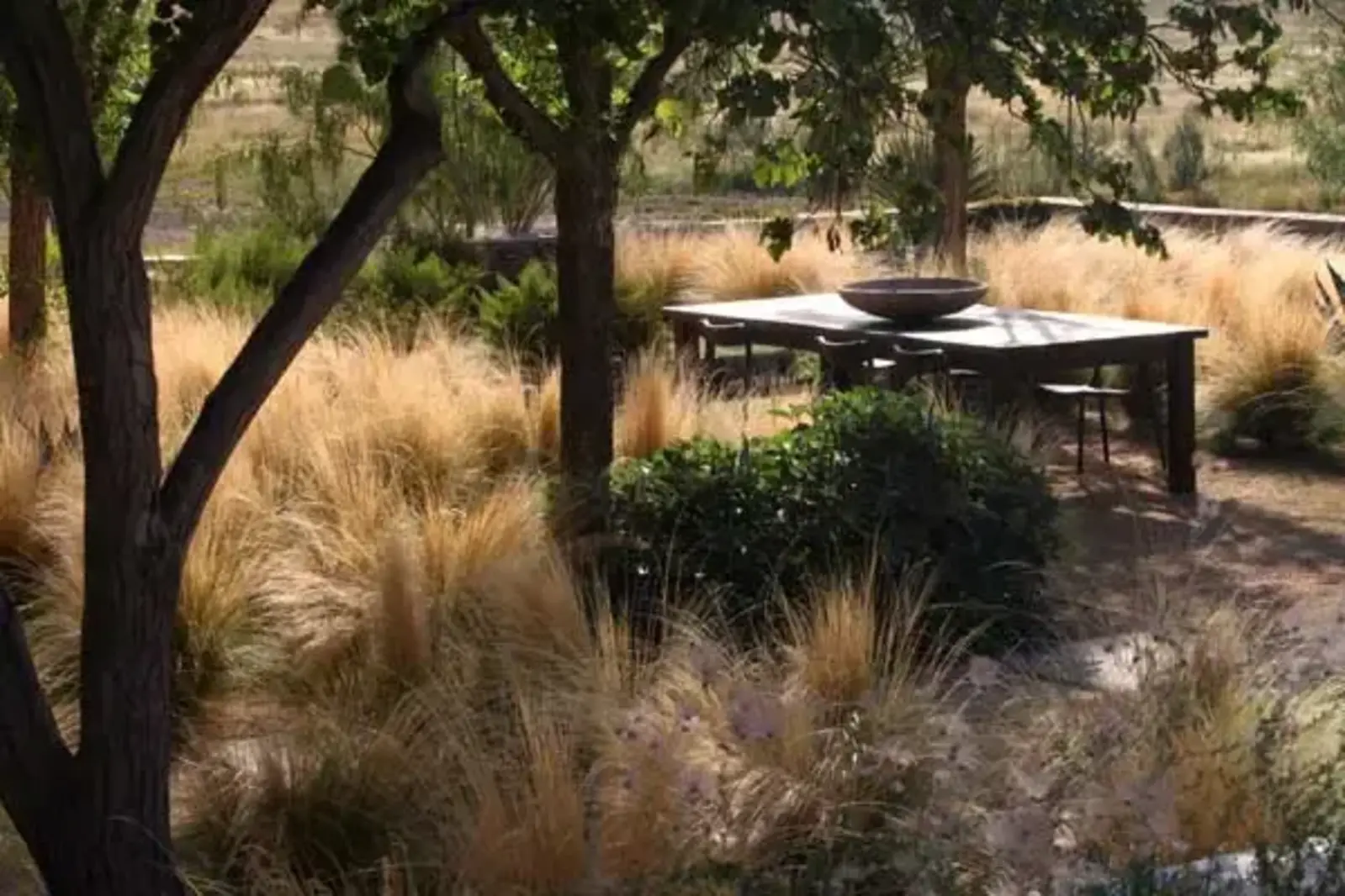 Brown is beautiful / Terry Moore