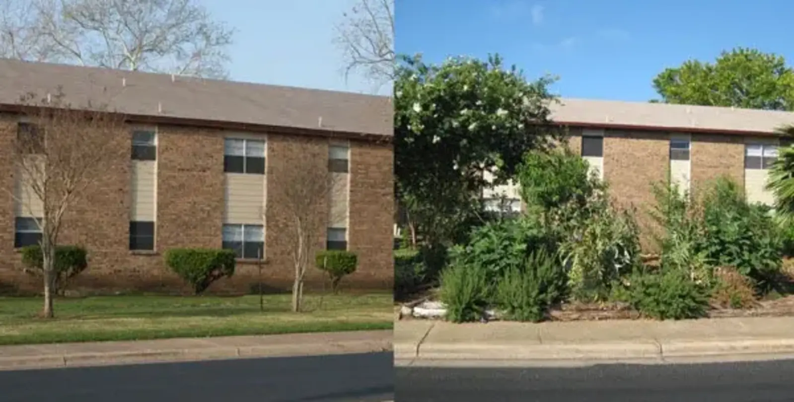 Edible Estates Regional Prototype Garden #5, Austin, Texas. Commissioned by Arthouse / Fritz Haeg