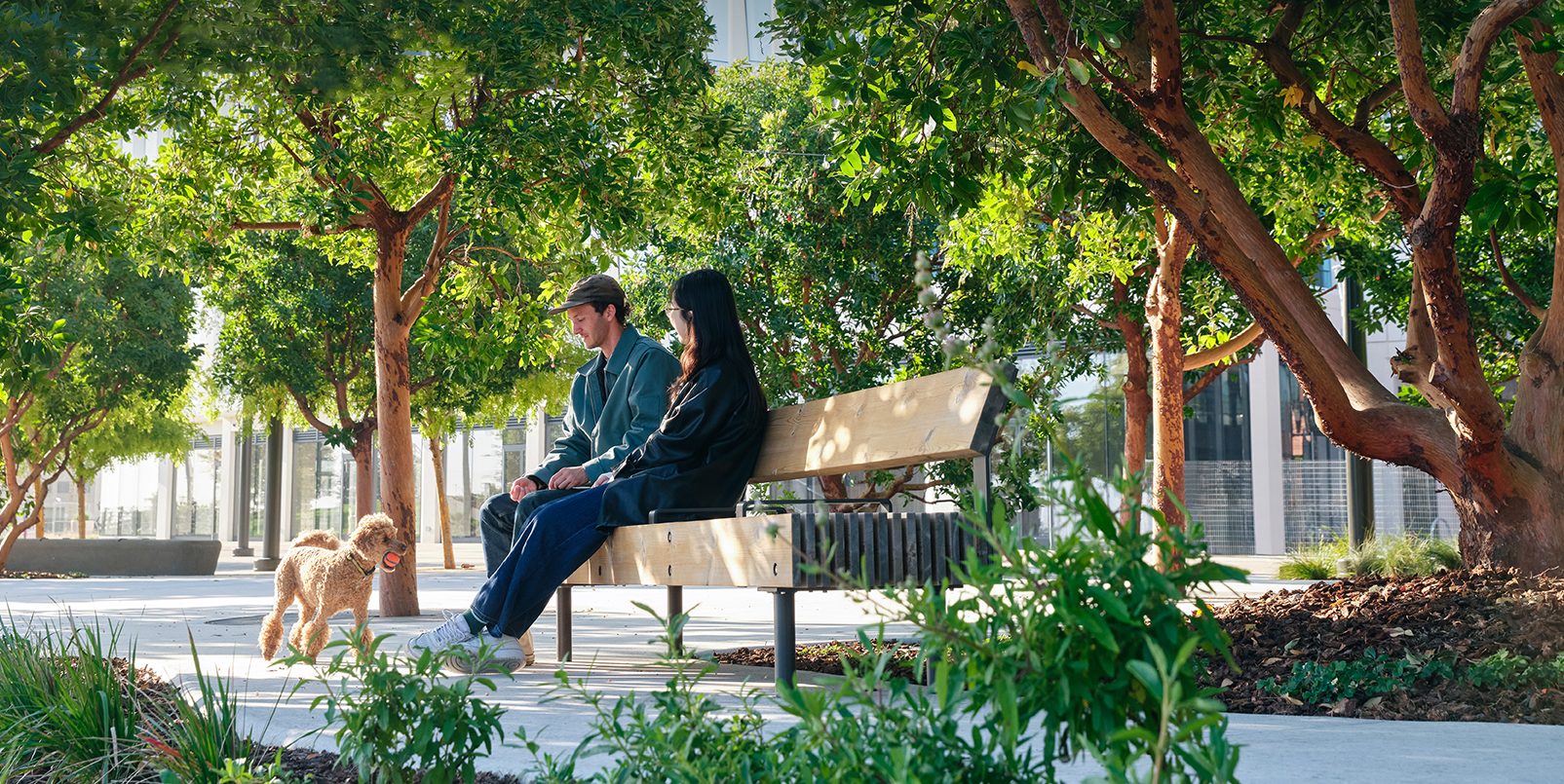 Two people sit on a wooden bench beneath shade trees in a landscaped urban park while a small dog with a ball stands nearby on a paved walkway.