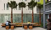ASLA 2012 Professional Residential Design Award of Excellence. Drs. Julian and Raye Richardson Apartments / Bruce Damonte