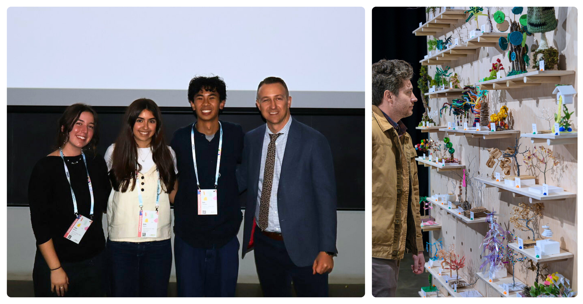 labash brad and trees