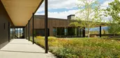 WATER-WISE PLANTINGS