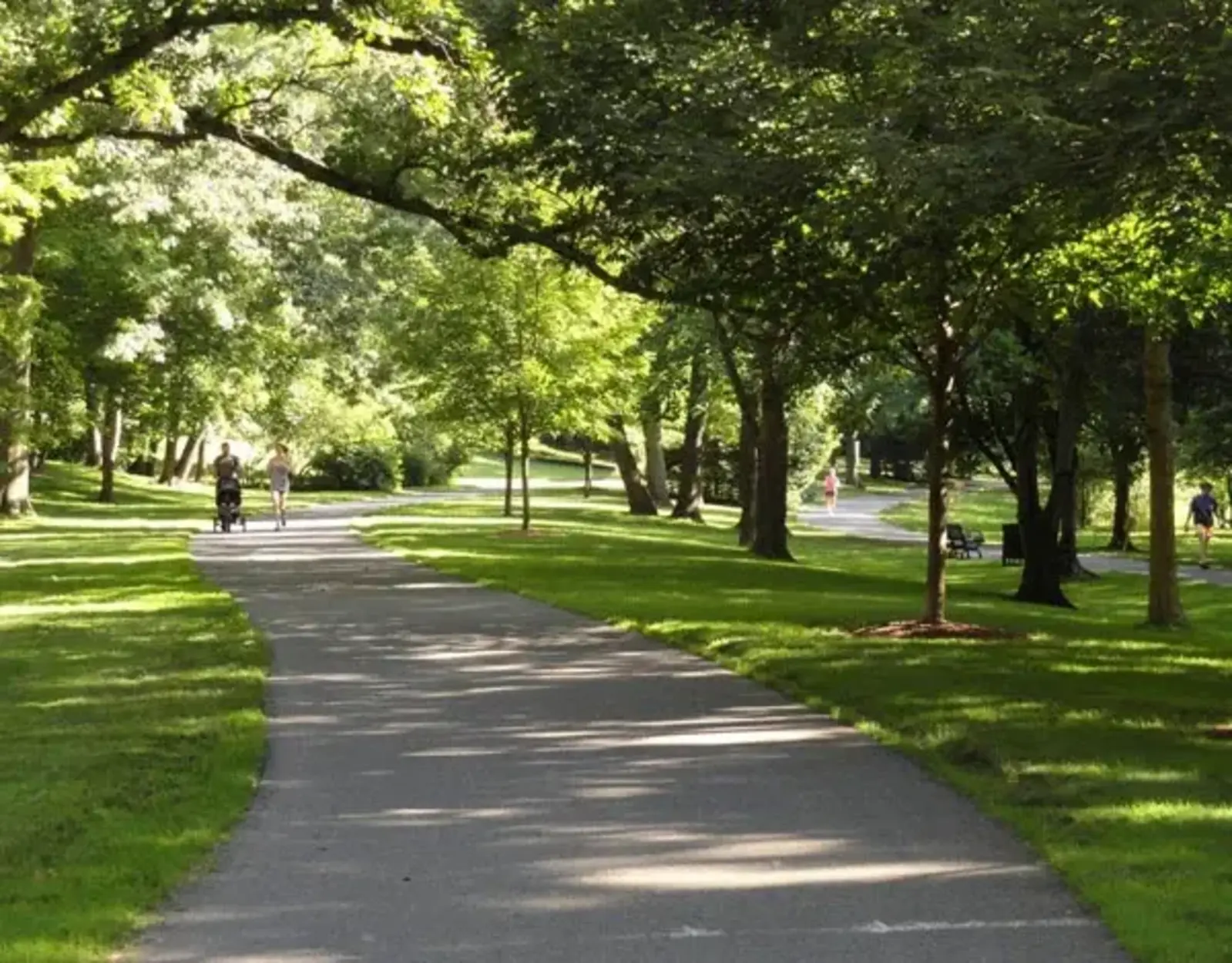 Olmsted Park pathways restoration by Pressley Associates / image credit: Marion Pressley