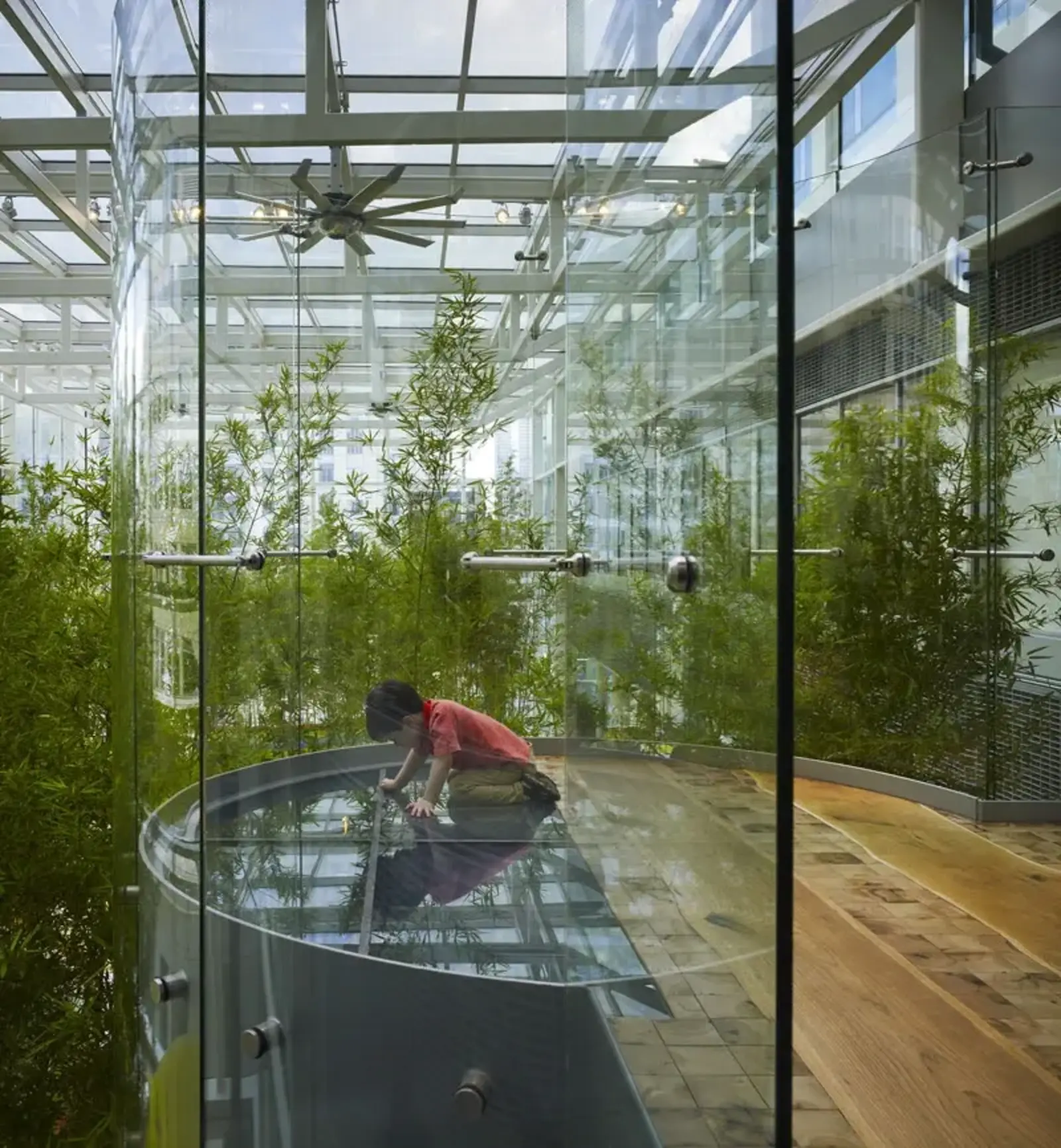 ASLA 2013 Professional General Design Honor Award. The Crown Sky Garden: Ann & Robert H. Lurie Children’s Hospital of Chicago. Mikyoung Kim Design / George Heinrich Photography