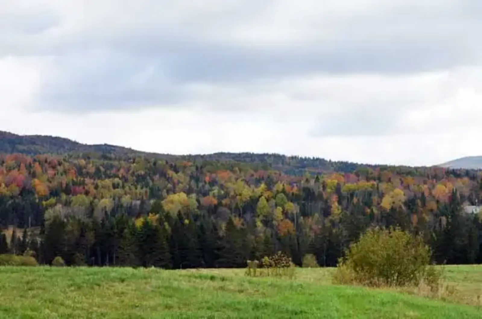 Image credit: T. J. Boyle Associates