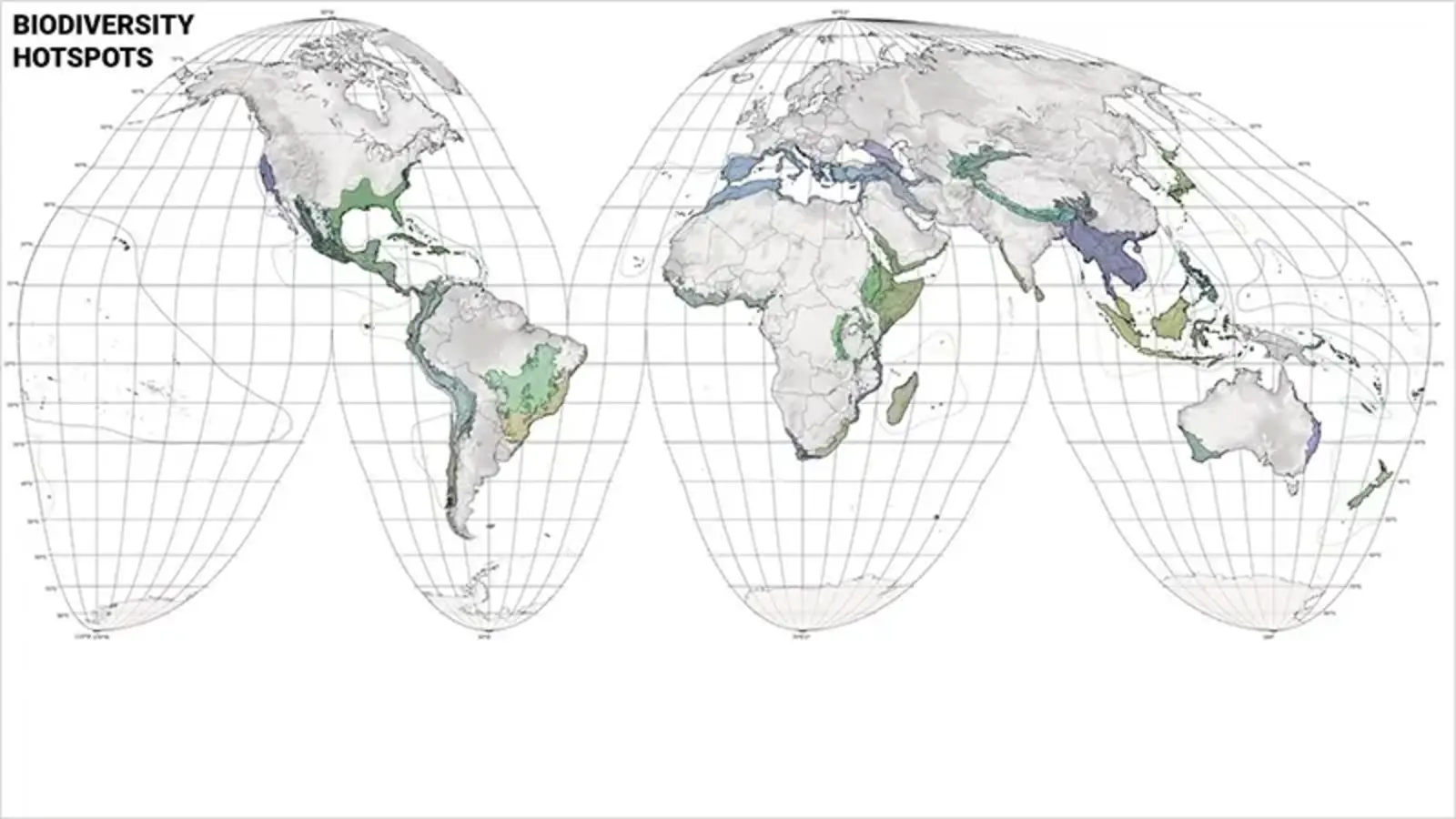The World’s 36 biological hotspots. Image by Rob Levinthal. Courtesy Richard Weller